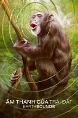 Âm Thanh Của Trái Đất – Earthsounds Earthsounds