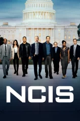 NCIS (Phần 14) NCIS Season 14