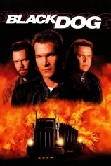 Black Dog Black Dog