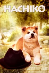 Câu Chuyện Về Chú Chó Hachiko Hachi-ko