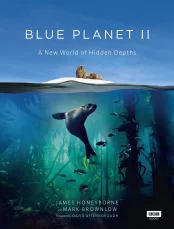 Đại Dương Sâu Thẳm 2 The Blue Planet 2