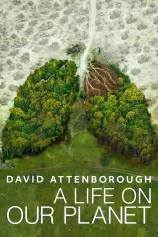 David Attenborough: Một cuộc đời trên Trái Đất David Attenborough: A Life on Our Planet