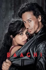 Giải Cứu Người Đẹp Baaghi