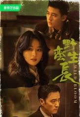 Gió Thổi Bán Hạ (Dã Man Sinh Trưởng) Wild Bloom