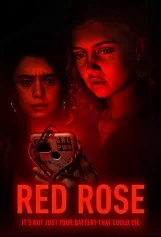 Hoa hồng đỏ Red Rose