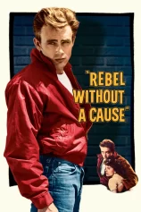 Nổi Loạn Vô Cớ Rebel Without a Cause