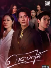 Rừng Hoa Rực Lửa Dong Dok Mai