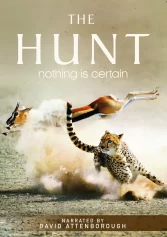 The Hunt The Hunt