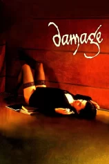 Tổn Hại Vô Luân Damage