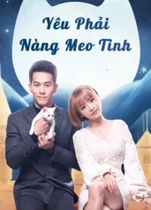 Yêu Phải Nàng Meo Tinh Falling in Love With Cat