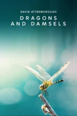 Loài Chuồn Chuồn Dragons and Damsels