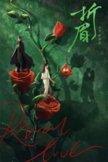 Tình Địch Rival Love